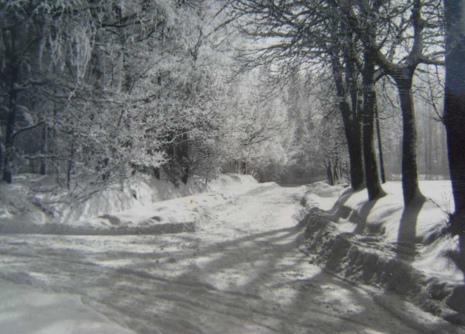 Droga do majątku Baumgarten zima 1938